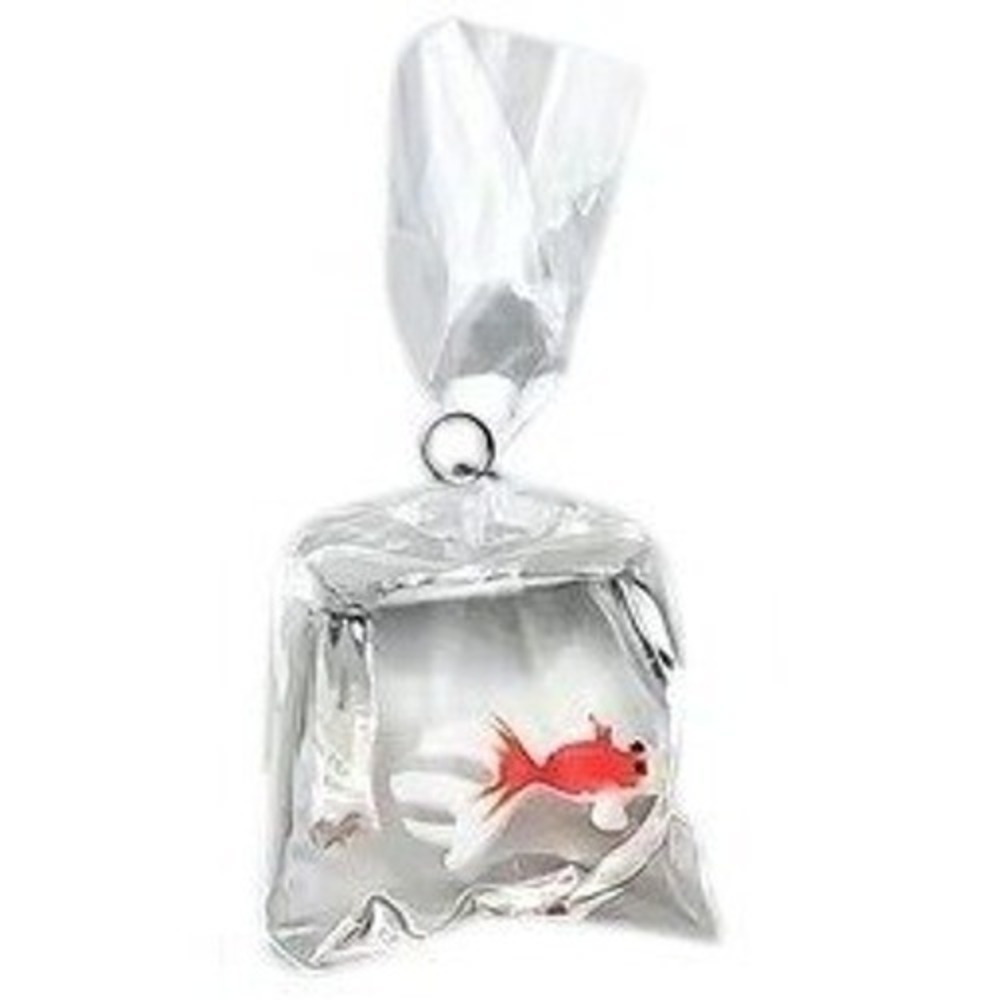 Boutique Goldfish in Bag Necklace Women OS Black Orange‎ Kitsch Novelty Pendant